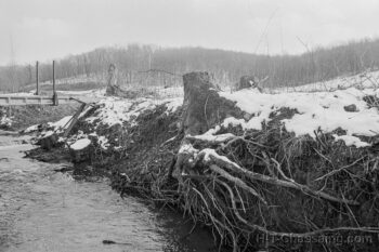 La bataille de Sivens